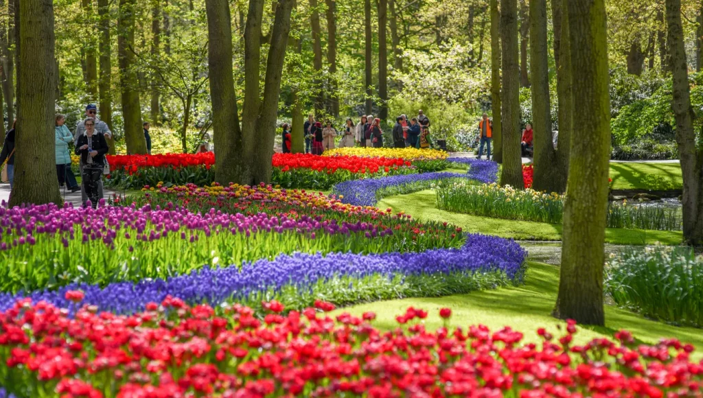 Taman yang berada di daerah Lisse, antara Amsterdam dan Den Haag