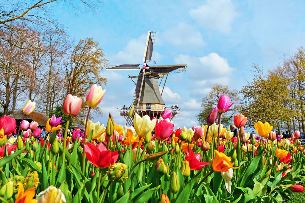 Taman Keukenhof yang berada di Belanda