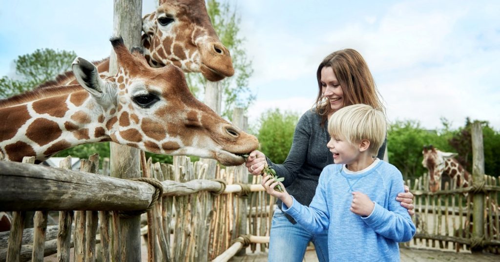 Pengunjung Kebun Binatang Denmark