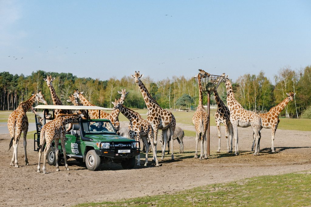 Taman Safari Beekse Bergen